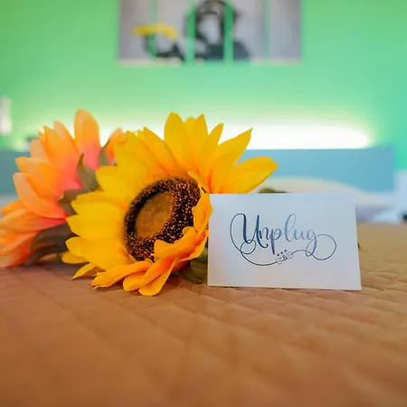 Unplug-3